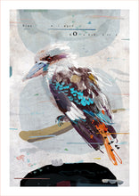 Load image into Gallery viewer, BLUE WINGED KOOKABURRA