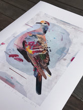 Load image into Gallery viewer, COMMON BRONZEWING