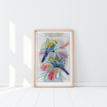 Load image into Gallery viewer, PALE-HEADED ROSELLA