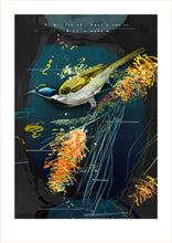 Load image into Gallery viewer, BLUE-FACED HONEYEATER