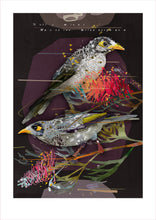 Load image into Gallery viewer, NOISY MINER