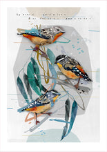 Load image into Gallery viewer, SPOTTED PARDALOTES