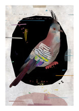 Load image into Gallery viewer, CRESTED PIGEON