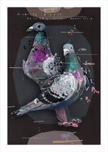 Load image into Gallery viewer, HOMING PIGEONS