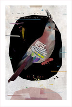 Load image into Gallery viewer, CRESTED PIGEON