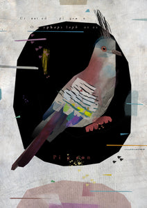 Crested pigeon fine art archival print