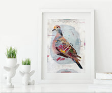 Load image into Gallery viewer, COMMON BRONZEWING